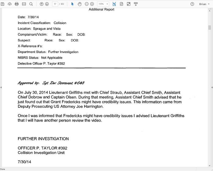 p-taylor-report-straub