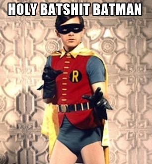 holy-batman-holy-batshit-batman