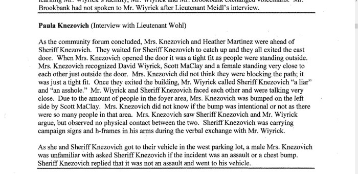 Paula WSP report statement